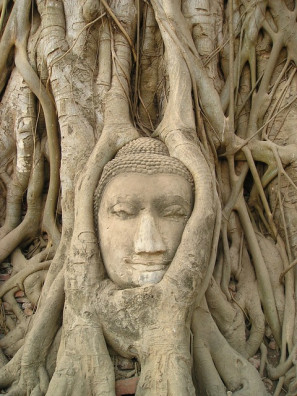 Enracinement, incarnation et joie de vivre